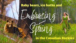 Embracing Spring in the Canadian Rockies