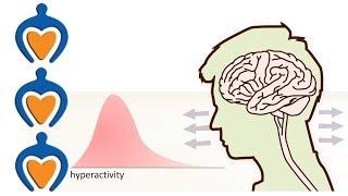 ADHD - What is it and what's the difference with ADD?