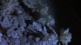 Planet Earth 04 Caves Part 18