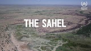 Regreening the Sahel