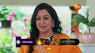 Meghasandesam | Ep - 172 | Preview | Dec 13 2024 | Zee Telugu