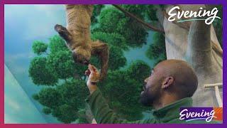 Hang out with sloths at Issaquah's Cougar Mountain Zoo