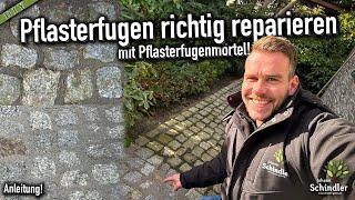 Pflasterfläche reinigen und feste Fugen richtig reparieren [Anleitung]