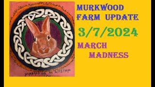 MURKWOOD FARM UPDATE 7 MAR 2024 MARCH MADNESS OVER HERE