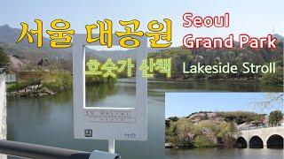 서울대공원 호숫가 산책 - Seoul Grand Park Lakeside stroll