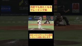 何度でも見たくなるフレーミング集 #プロ野球 #野球