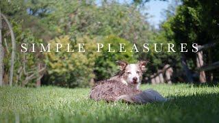 Enjoying Life's Simple Pleasures (EP.52)