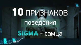 СИГМА - самец. Кто такие сигма мужчины: 10 признаков