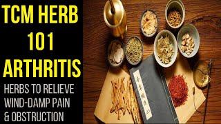 STUDY WITH ME- TCM Herbal Series: Herbs for Arthritis and Pain