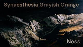 Ness - Synaesthesia 6 | Grayish Orange