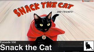 Snack the Cat: the Purrfect instrument for a CatSynth review+tutorial