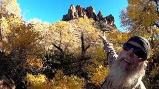 HUGE! Gold specimen found - Arizona Gold Prospecting