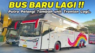 GAK MAU DISAINGI PEMAIN BARUPUTRA PELANGI BELI BUS BARU LAGI