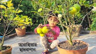 Anahita ছাদবাগান থেকে আজ কি কি পাড়লো || #Anahita'sWorld