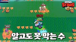 에모 다 쓰고도 못 잡는 돌연변이 [브롤스타즈-Brawl Stars] [June]