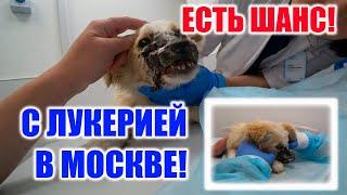 МЫ ВЫБРАЛИ СПАСЕНИЕ! ПРИЕХАЛИ В КЛИНИКУ В МОСКВЕ! МЫ ПОЙДЕМ ДО КОНЦА! ВЫ С НАМИ?