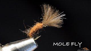 Mole Fly by Charlie Craven