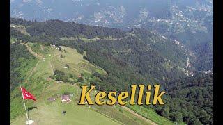 Kesellik