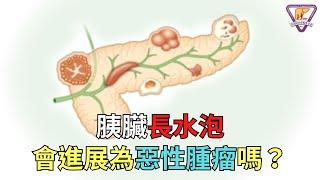 胰臟長水泡  會進展為惡性腫瘤嗎？｜好心肝·好健康