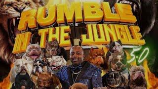 June Willams Rumble In The Jungle 5.0 2024