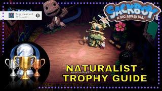 Sackboy: A Big Adventure Naturalist - Trophy Guide