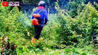 Waduh Bos ini sih Bukan potong rumput namanya tapi potong anak kayu  9 Juni 2024