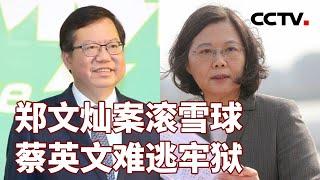 郑文灿案滚雪球 蔡英文难逃牢狱 20240714 | CCTV中文《海峡两岸》