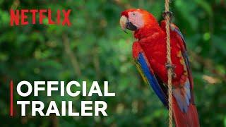 Life in Color with David Attenborough | Official Trailer | Netflix