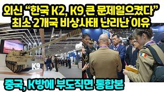 외신 “한국 K2, K9 큰 문제일으켰다”최소 2개국 비상사태 난리난 이유 중국, K방에 부도직면 통합본