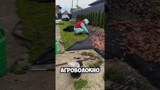Грядка своими руками
