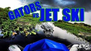 Big gator jumps at Jet skiers on the Kissimmee River (Yamaha, Seadoo) - Florida Ski Riders