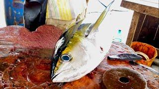 Beautiful Fresh Tuna Fish Cutting | Fish Cutting Skills Sri Lanka