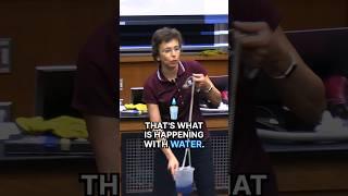 Water defies gravity. But how?!  #shorts #DrTatiana #science