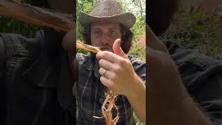 How to make natural cordage FAST #outdoors #bushcraft #camping #survival #outdoorlife #survivaltips
