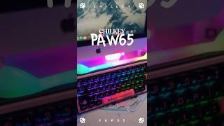 Chilkey PAW65  #keyboard #chilkey