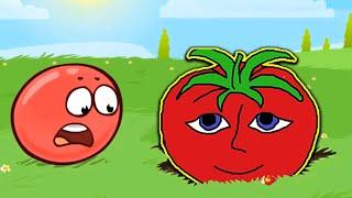 Tomato vs Red Ball 4 War