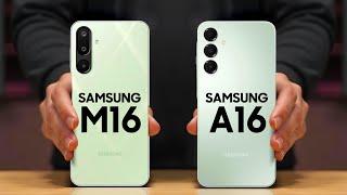 Samsung Galaxy M16 5G Vs Samsung Galaxy A16 5G - Which is BEST For You?