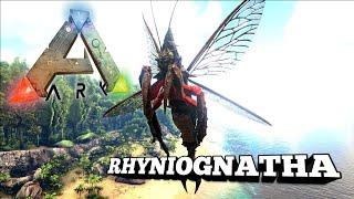 Taming A Rhyniognatha | Ark Survival Evolved | The Island