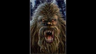 World Bigfoot Radio #53 ~ The LaFlore Horror/Bear