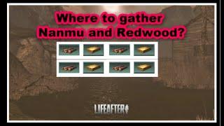 LifeAfter- Where to Gather Nanmu and Redwood? ( New Update!)