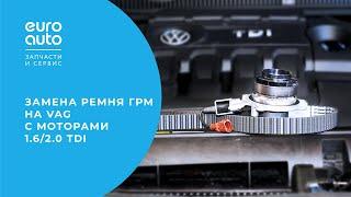 Замена ремня ГРМ на VAG с моторами 1,6/ 2,0 TDI