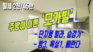 주방이 잘생긴 검단빌라 마전지구 모카빌 월세 답사기