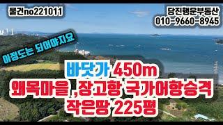 바닷가토지 225평바다보이는 곳 450m 왜목마을  바지락잡아요                                  당진토지부동산 의 매혹적인 추천작