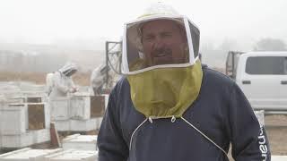 Indoor Storage of  Honey Bees  Preparing Bees for Indoor Storage