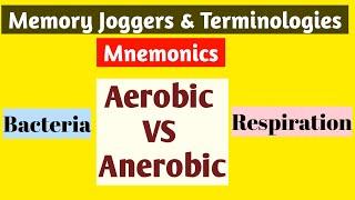 Aerobic vs Anerobic|Aerobic Bacteria Vs Anerobic Bacteria| Mnemonics|Aerobic Respiration vs Anerobic