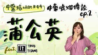 中藥唬爛傳說 ep.2 蒲公英的由來!!! /// 中醫搞WHAT #44 feat.True Tisane