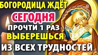 23 июня НЕ ПРОПУСТИ! БОГОРОДИЦА поможет прямо сейчас! Молитва Ярославской Богородице Православие