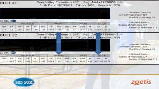 Making Informed Bull Selection Decisions, 2014 Cattleman's College