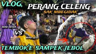 vlog,perang celeng exstrim, tembok e sampek jebol -arekbudoyo