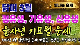 닭띠 3월운세1957년생 1969년생 1981년생 닭띠 3월 운세 닭띠 운세 정유생 기유생 신유생⭐대박닭띠운세 을사년 기묘월 운세 말년운 귀인운 재물운